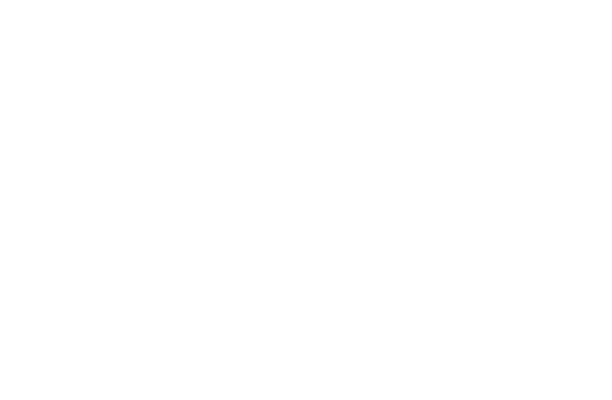 LohmenBAU Pirna GmbH